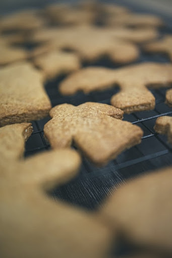 The best paleo gingerbread ever?