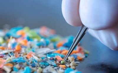 Microplastics Are Everywhere—But I’m Not Losing Sleep Over It (And You Don’t Have To Either)
