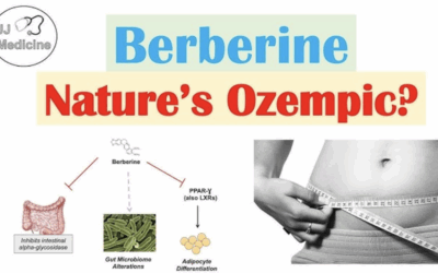 BERBERINE: Nature’s Answer to Ozempic